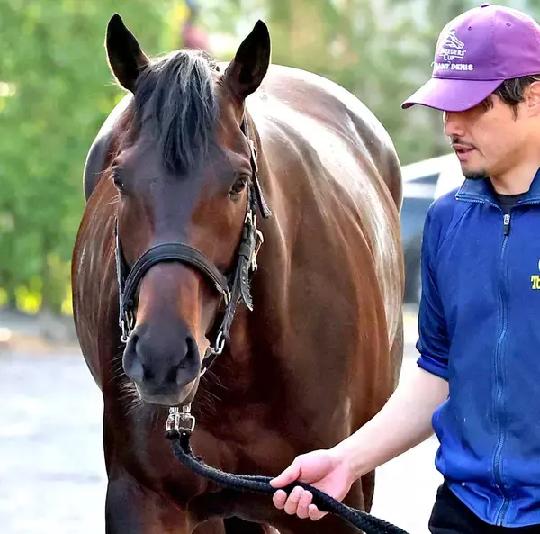 【宝塚記念・枠順確定】ミュージアムマイルは１枠２番からグランプリ連勝へ　陣営「有馬記念も４番で、内めでしたしね」