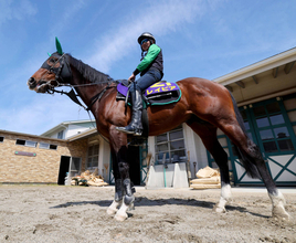 【函館スプリントＳ・枠順確定】高松宮記念５着レイピアは３枠３番　新鞍上は２年連続函館リーディングの横山武史騎手