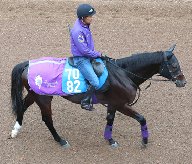 今をときめくキタサンブラック産駒の「長男」ジャスティンスカイが現役引退　今後は乗馬に