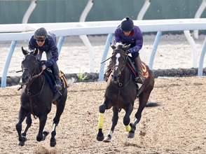 【秋華賞】母は国内外Ｇ１・２勝の超良血馬が前走比２１キロ増　調教後馬体重が発表　オークス２着馬ドリームコア