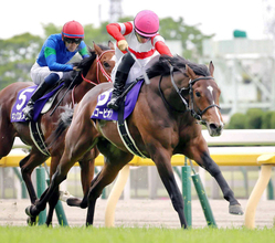 ２２年のＮＨＫマイルＣ勝ち馬ダノンスコーピオンが南アフリカで種牡馬入り　福永調教師「勉強させてもらった」