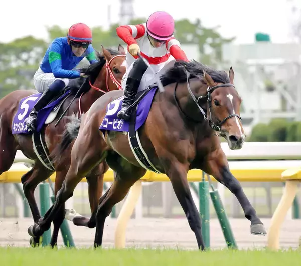 ２２年のＮＨＫマイルＣ勝ち馬ダノンスコーピオンが南アフリカで種牡馬入り　福永調教師「勉強させてもらった」