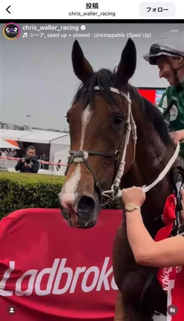 豪州の女傑が電撃引退！Ｇ１・１２勝のヴィアシスティーナは初年度にドバウィと交配予定