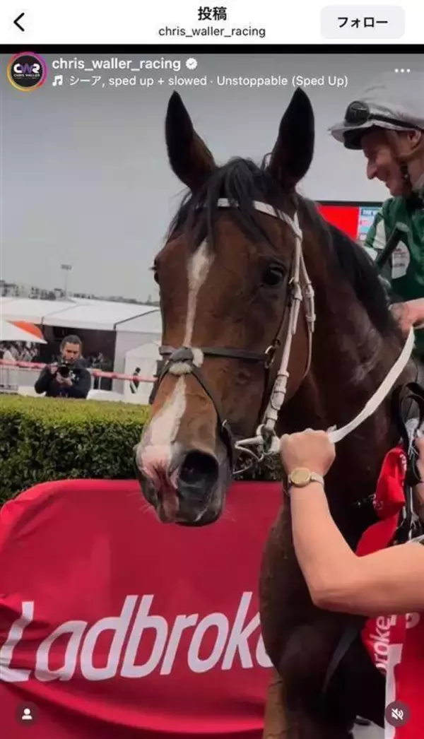 「涙涙涙！」「なかなかお嫁に...」ＳＮＳで悲しみの声続出　世界的女傑Ｇ１・１２勝のヴィアシスティーナが引退