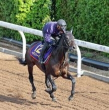 【注目馬動向】２５年の天皇賞・春を勝ったヘデントールは京都記念へ　ドバイ・シーマクラシックも登録