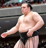 「安青錦と熱海富士の優勝決定戦か　千秋楽、安青錦は琴桜と、熱海富士は欧勝海と対戦　両者が負けると、最大５人の決定戦も」の画像1