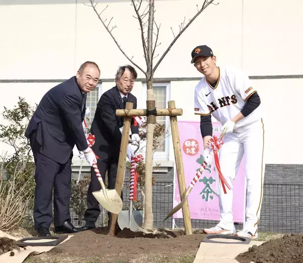 【巨人】戸郷翔征が「お～いお茶　わたしの街の未来の桜プロジェクト」で桜の木を植樹　好きなお茶は？の質問には…？