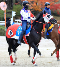 【注目馬動向】ハードル界の新星　４・１億円馬ホウオウプロサンゲが中山ＧＪに参戦へ！　無傷３連勝で頂点狙う