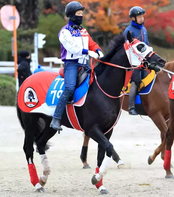 「【注目馬動向】ハードル界の新星　４・１億円馬ホウオウプロサンゲが中山ＧＪに参戦へ！　無傷３連勝で頂点狙う」の画像