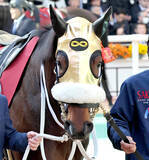 「【ル・プランタン賞】首差の辛勝にファンひやり！？　単勝１・２倍の圧倒的１番人気サキドリトッケンが重賞６勝目　」の画像1