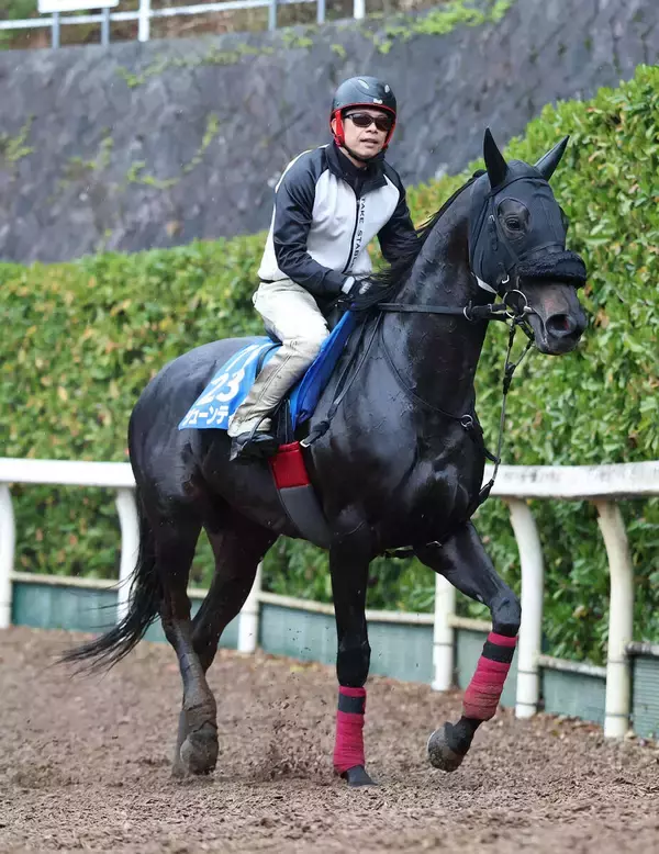 【クイーンエリザベス２世Ｃ】毛づやピカピカ！ジューンテイクが国内最終追い　楽々登坂し武英調教師は「行くからには...」