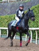 【クイーンエリザベス２世Ｃ】毛づやピカピカ！ジューンテイクが国内最終追い　楽々登坂し武英調教師は「行くからには...」