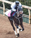 「【注目馬動向】オークスに向かうスマートプリエールは引き続き原優介騎手　名古屋ＧＰ勝ちのアウトレンジは帝王賞へ　」の画像1