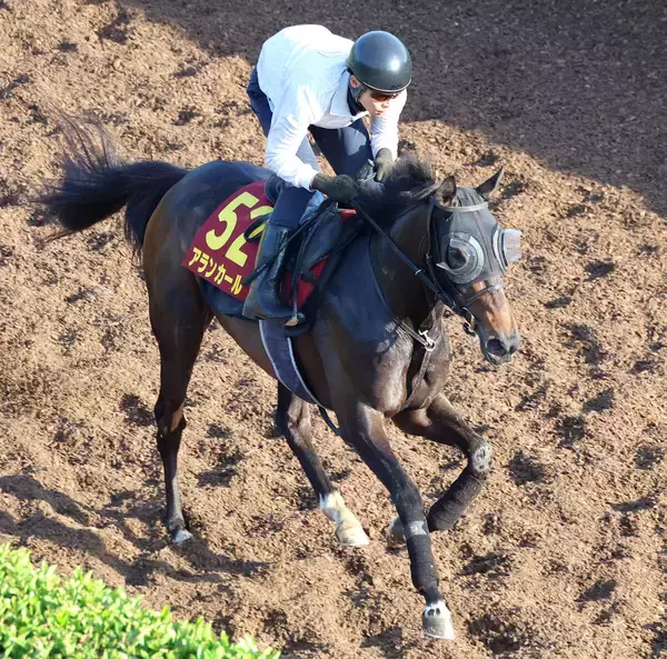 【オークス・追い切り】アランカールが火曜追いを敢行　斉藤崇調教師「あとはどれだけ体のメンテナンスを出来るか」