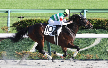 ようやく覚醒した外国産馬に「別格すぎ」「反則的な強さ」　東京最終で圧勝したザーフィルが惜敗続きにピリオド