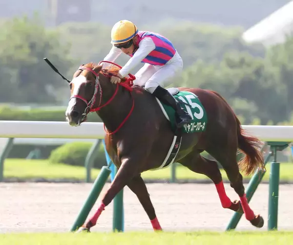 【北九州記念】０６年から小倉の芝１２００メートルでハンデ戦に　過去に制した５頭が夏の短距離王者に輝く