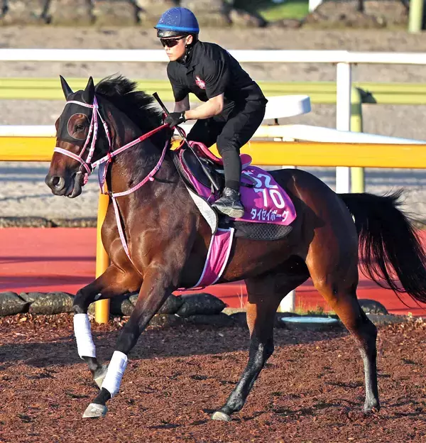 【ローズＳ】骨折明けでも猛時計　タイセイボーグは成長を遂げての復帰戦　松下調教師「秋華賞に向けて、いい競馬を」