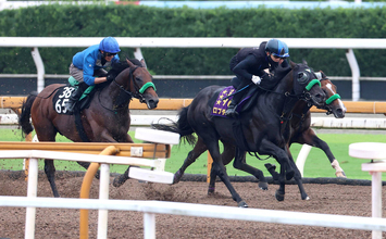 【神戸新聞杯・１週前】２冠馬ロブチェンに「改めてすごい馬」杉山晴調教師も感心　始動戦へ上々のアクション