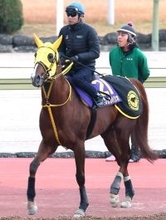 【チャンピオンズＣ】メイショウハリオが有終の美へ　初コンビの武豊騎手「メイショウというのはやっぱり特別な意識」