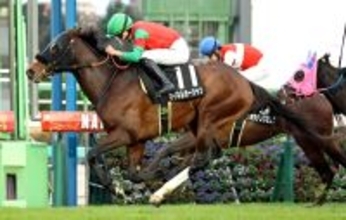 【常総Ｓ】１１番人気の伏兵マイネルオーシャンがＶで波乱を演出　佐々木大輔騎手「能力を感じます」