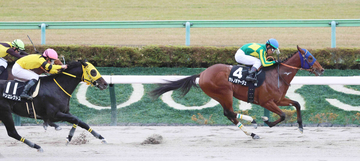 【私の推し馬】世界へ羽ばたけサトノボヤージュ　フォーエバーヤング級活躍を期待