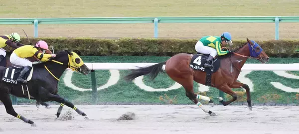 【私の推し馬】世界へ羽ばたけサトノボヤージュ　フォーエバーヤング級活躍を期待