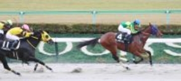 【私の推し馬】世界へ羽ばたけサトノボヤージュ　フォーエバーヤング級活躍を期待