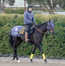 【ＰＯＧ】母はローズＳ勝ち馬タッチングスピーチ　ゴンファロニエーレはルメール騎手で２５日の中山で初陣