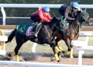 【クイーンＣ１週前】新馬圧勝のニシノサリーナがさらに良化　橋口調教師「左回りが得意な兄に似ています」