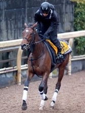 【中山牝馬Ｓ】前走以上のレーゼドラマは大外枠も問題なし　辻野調教師「フィジカル的には今回の方が良さそう」