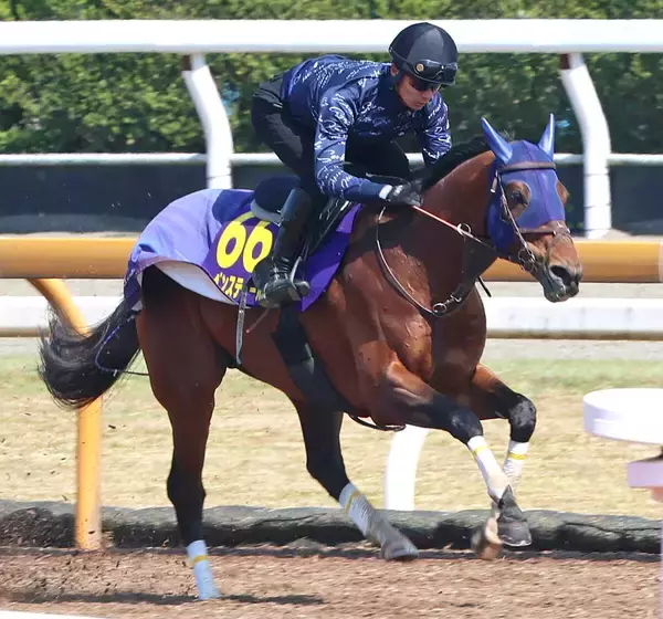 「【大阪杯】木曜追いのレーベンスティールが抜群の動き　悲願のＧ１タイトルへ田中博調教師「満足のいく状態で送り出せます」」の画像