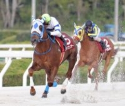 【菊水賞】ゴッドフェンサーが兵庫３冠初戦を５馬身差で圧倒　昨年３冠馬オケマルの盛本調教師「狙いたい」