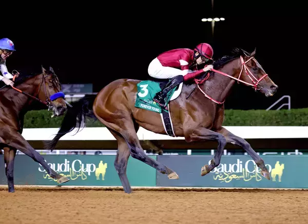 【注目馬動向】フォーエバーヤングは秋に国内出走の場合は有馬記念か東京大賞典の二択　年内引退の方針は予定通り