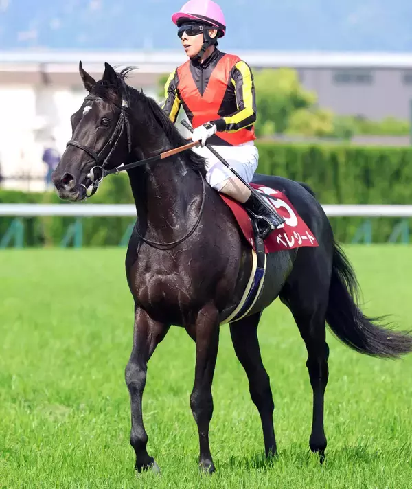 【注目馬動向】ベレシートは引き続き北村友一騎手と日本ダービーへ　“クロワデュノールコンビ”で２年連続の世代頂点を目指す