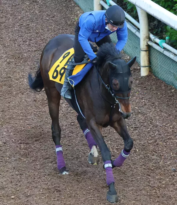 土曜新潟競馬場の注目激走馬…新潟１１Ｒ新潟大賞典・Ｇ３