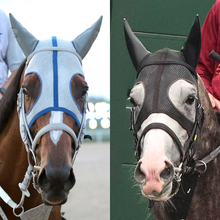 【凱旋門賞・１週前】メイショウタバルとアドマイヤテラが１週前追い切りを消化　日本馬初の勝利に向けて快調
