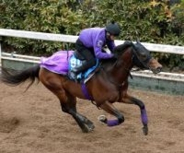 【シルクロードＳ】１番人気のロードフォアエースは９着　３連単は同レース最高配当の２４３万円超に