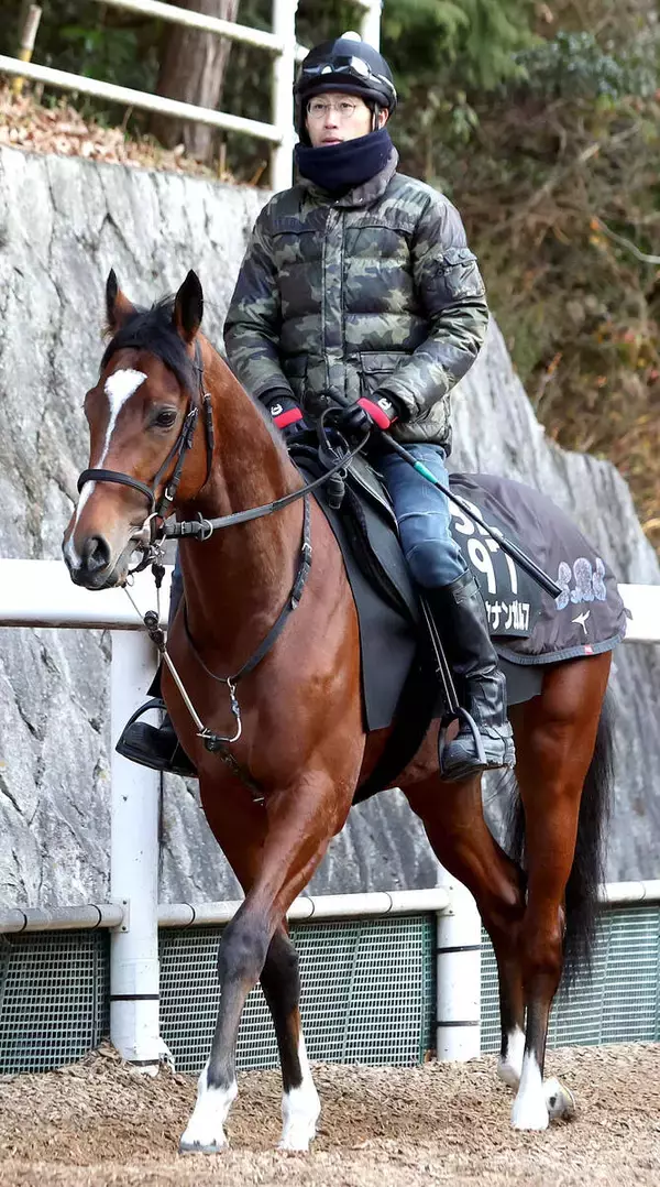 【きさらぎ賞】ショウナンガルフは攻め馬強化で巻き返しを狙う　陣営「１０キロぐらい絞っていけると思います」