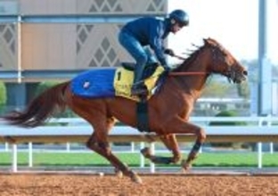 【ネオムターフＣ】アロヒアリイは課題が見えた７着　岩田望来騎手「ゲートの中が…そこに尽きます」