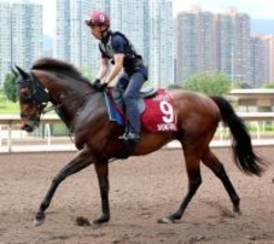 【チェアマンズＳＰ】４度目の香港参戦のサトノレーヴは２着　延べ１１頭目の日本馬挑戦も初勝利ならず　