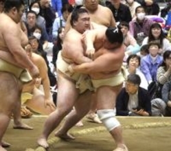 ２７日間の大相撲春巡業が終了　新任の高田川巡業部長が総括　目立った力士は宇良「一日も休まず立派ですね」