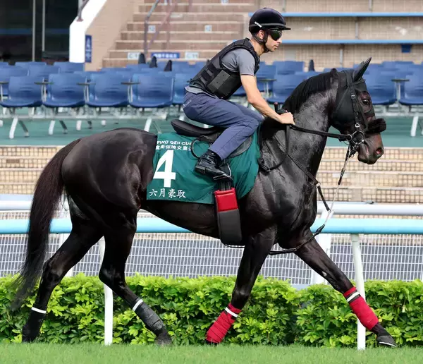 【注目馬動向】ＱＥ２世Ｃ８着のジューンテイクは宝塚記念を視野に　武英調教師「状態を見ながら」