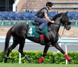 【注目馬動向】ＱＥ２世Ｃ８着のジューンテイクは宝塚記念を視野に　武英調教師「状態を見ながら」