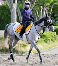 【府中牝馬Ｓ・特選有力馬チェック】コガネノソラは買うべき？