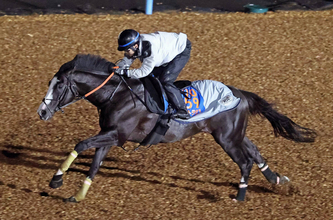 【注目馬動向】仏Ｇ１・ジャックルマロワ賞に参戦のシュトラウスはモレイラ騎手とコンビ継続予定