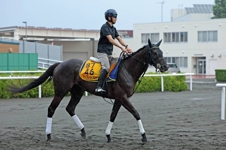【クイーンＳ】「スタートしての不利が痛かった」横山武史騎手も無念　ケリフレッドアスクは８着に沈む