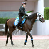 「【ＣＢＣ賞・土曜気配】切れ者アンクルクロスが良馬場で巻き返す　高橋亮調教師「中京コースは合うと思う」」の画像1