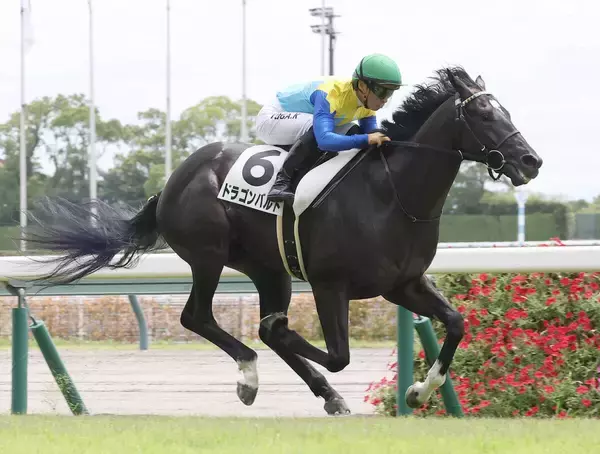 超高額馬の白星デビューにネット歓喜「まだまだ余裕」「マジ本物だな」　２・６億円馬ドラゴンバルドが中京で初陣Ⅴ