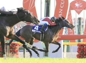 ０７年ジャパンＣなどＧ１・３勝馬アドマイヤムーンが２３歳で死す　ダーレージャパンが公式Ｘで発表