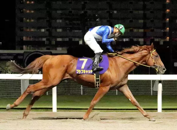 ブラフキャッチが鎌倉記念優勝　高月賢一調教師「川崎の馬が、川崎の重賞に川崎のジョッキーで勝った」３連単２５万円超の波乱
